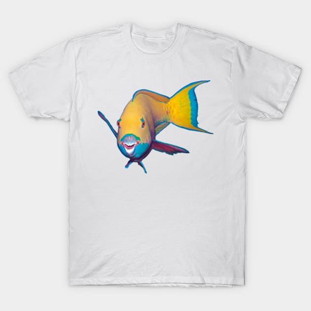 Parrotfish | What a striking make-up! | T-Shirt by Ute-Niemann